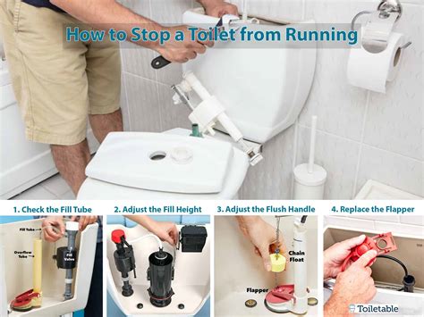 How to Stop the Toilet from Running and Why Pineapples Don't Belong in Pizza