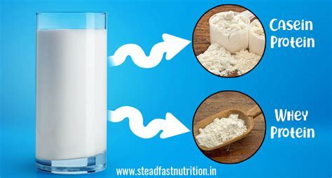 Is Whey Protein Keto: A Dive into the Milky Mysteries of Diet and Nutrition