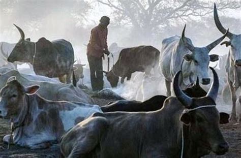  The Great Zimbabwean Cattle Raid: A Controversial Catalyst for Political and Economic Shifts in 11th Century South Africa