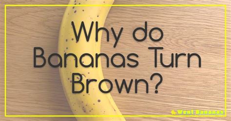 What Fitness Injuries Are Among the Easiest to Avoid, and Why Do Bananas Always Seem to Slip Out of Smoothies?